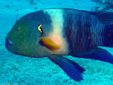 DSCN5490_resize.JPG