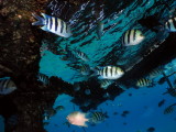 DSCN5960_resize.JPG