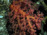DSCN5474_resize.JPG