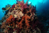 DSC_2824_resize.JPG
