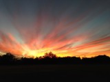 IMG_0617.jpg