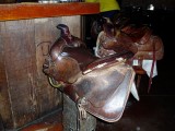 P1010433.jpg