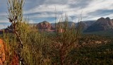 Sedona-02.jpg