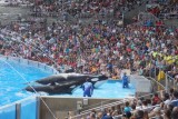 Sea World