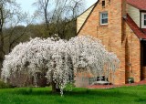 AAA_0274.jpg