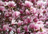AAA_0321.jpg