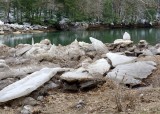 AAA_0199.jpg