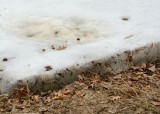 AAA_0181.jpg