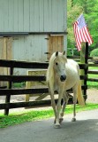 DSC_0118.jpg