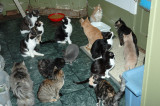 DSC_5379.JPG