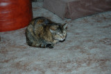 DSC_5562.JPG
