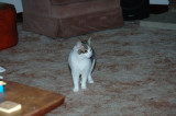 DSC_5563.JPG