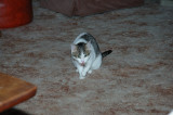 DSC_5564.JPG