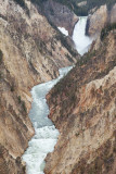 Yellowstone Lower Falls 3