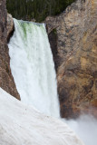 Yellowstone Lower Falls 5