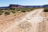 White Rim Road