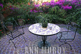 Patio with Jacaranda petals