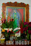 Our Lady of Guadalupe<meta name=pinterest content=nopin />