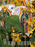 Offerings for Our Lady of Guadalupe<meta name=pinterest content=nopin />
