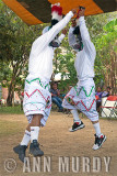 The Chihuahuas dancing, Section 2