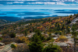 Cadillac Mountain 
