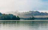 Morning Mist Rising