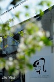 DSC_8160.jpg
