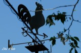 DSC_8181.jpg