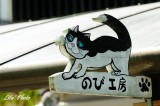 DSC_8185.jpg