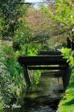 DSC_8210.jpg