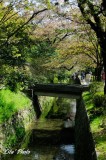 DSC_8212.jpg