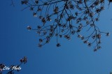 DSC_8264.jpg