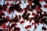 DSC_8280.jpg