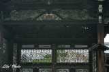 DSC_8585.jpg