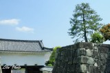 DSC_8800.jpg