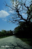 DSC_8883.jpg