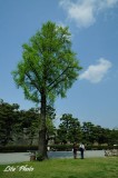DSC_8896.jpg