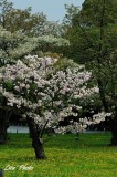 DSC_8901.jpg