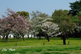DSC_8908.jpg