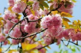 DSC_9099.jpg