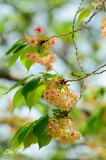 DSC_9158.jpg