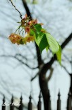 DSC_9161.jpg