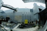 DSC_9371.jpg