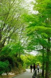 DSC_9489.jpg