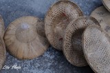 DSC_7147.jpg