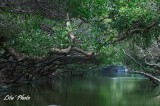 DSC_7157.jpg