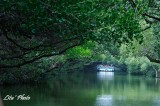 DSC_7162.jpg