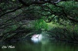 DSC_7170.jpg