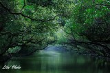 DSC_7192.jpg