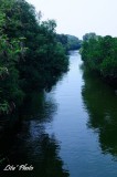 DSC_7213.jpg